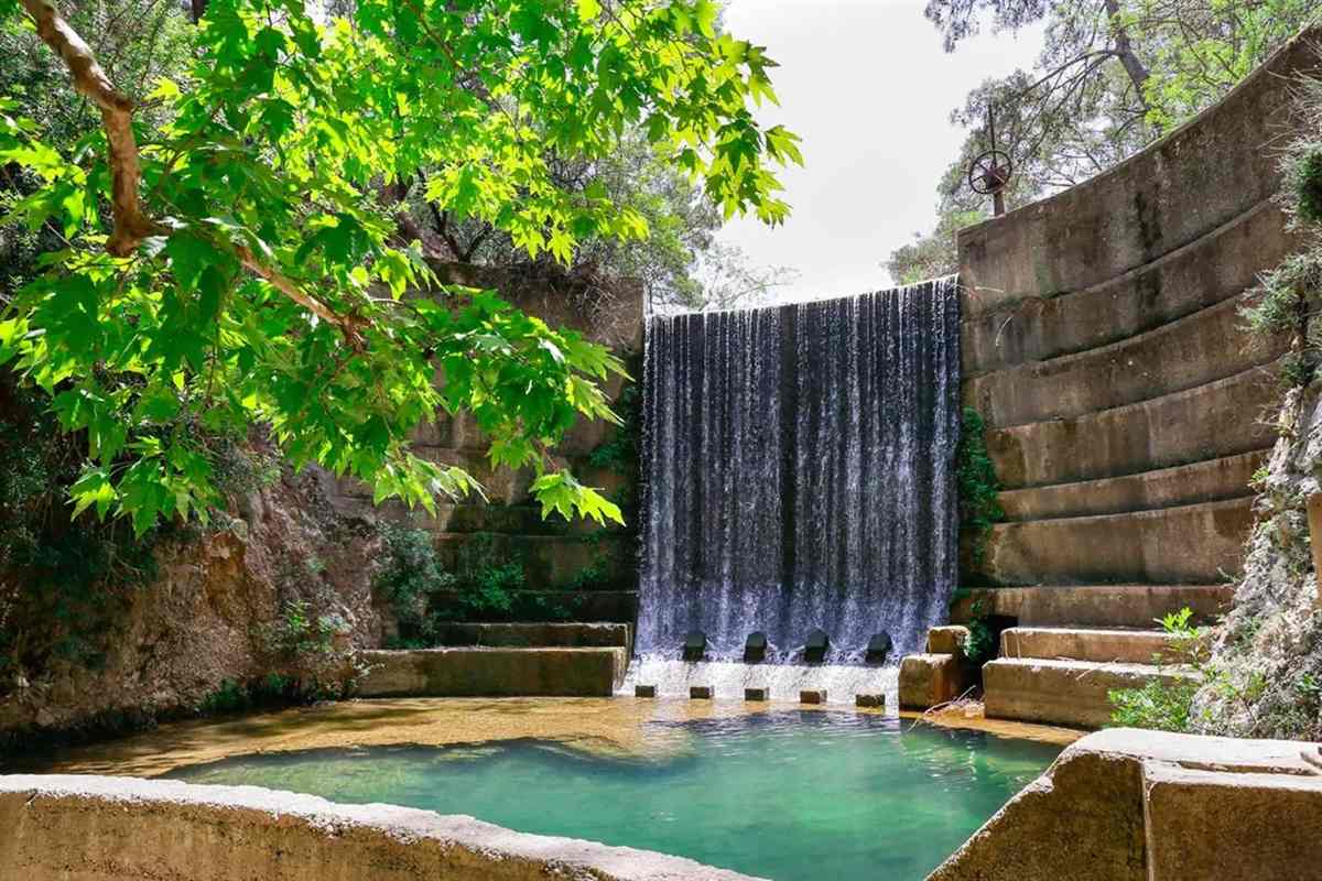 Lindos and Seven Springs bus tour from Rhodes: a curtain of water pouring over the curved stone dam wall of the Seven Springs lake into a clear green pool, with a branch of bright green leaves across the left and pine trees above