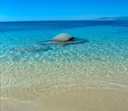 Naxos island Beaches, Greece / click image to enlarge