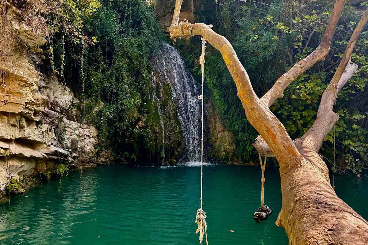 Paphos Coral Bay and Adonis Baths tour: a small waterfall falling over mossy rock into a deep turquoise pool, with a leaning tree branch and a rope hanging over the water, green shrubs and trees on both banks