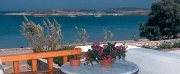 Roussos beach Hotel and Apartments in Naoussa, Paros Island, Cyclades, Greece / click to enlarge