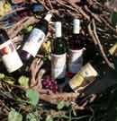 Santorini Island Vedema Wines