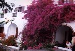 New Haroula Hotel Fira Town Santorini Island Greece